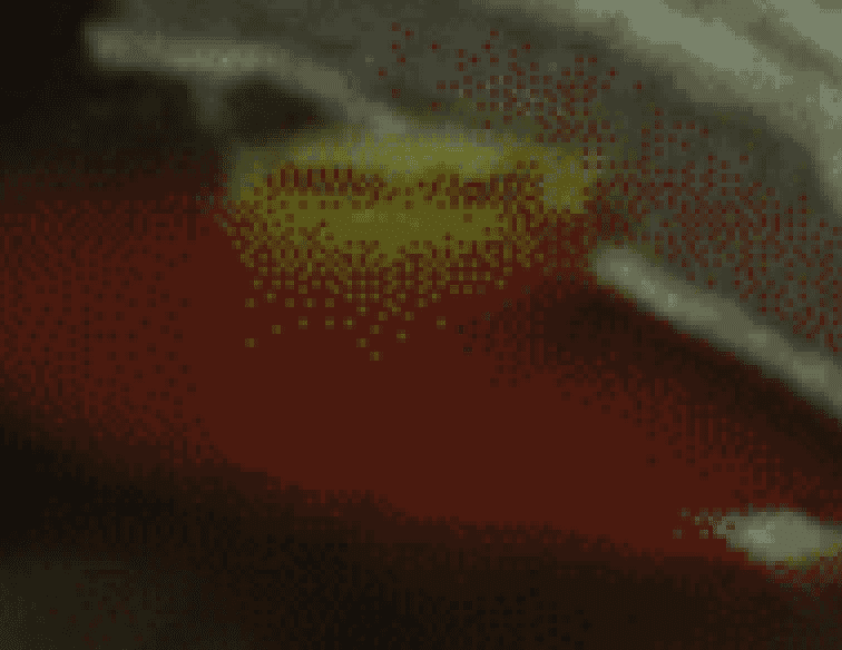 1760458301249.png