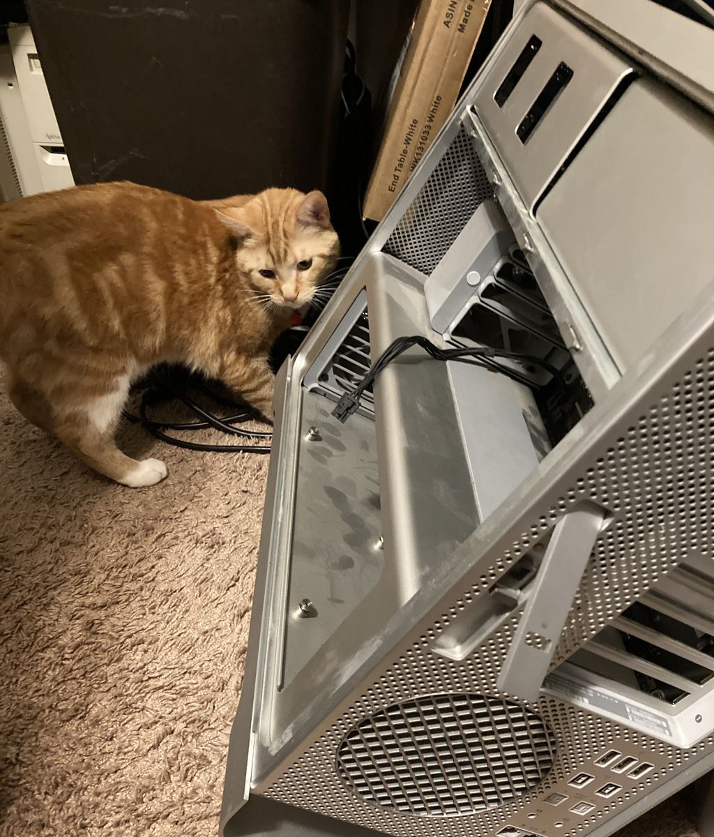 cMP41-catscan.jpg