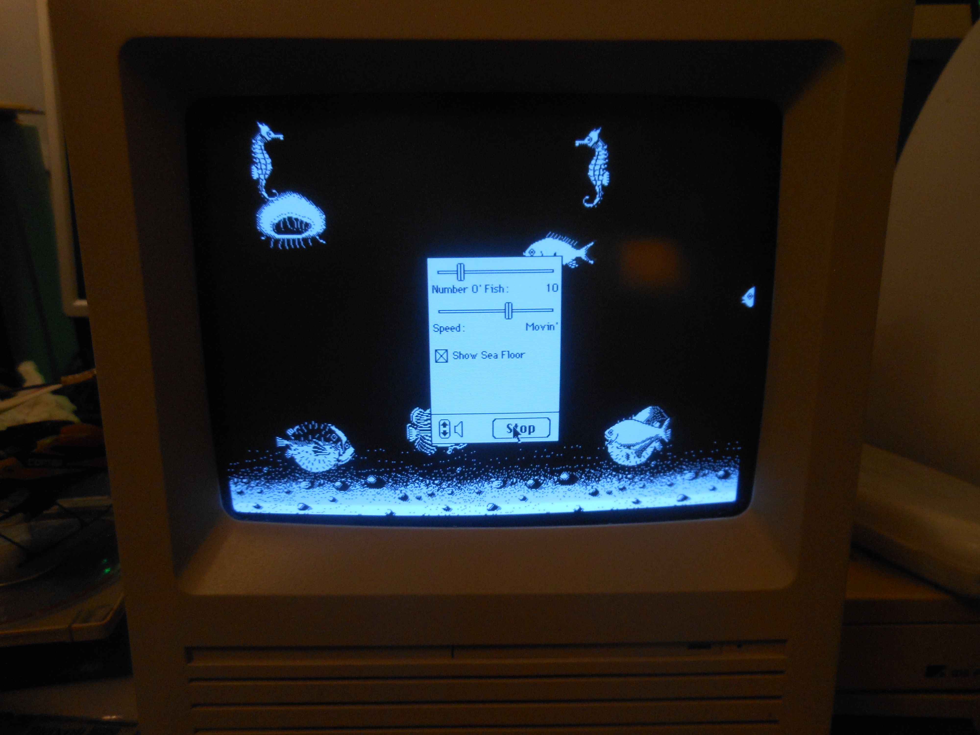 DSCN9288.JPG