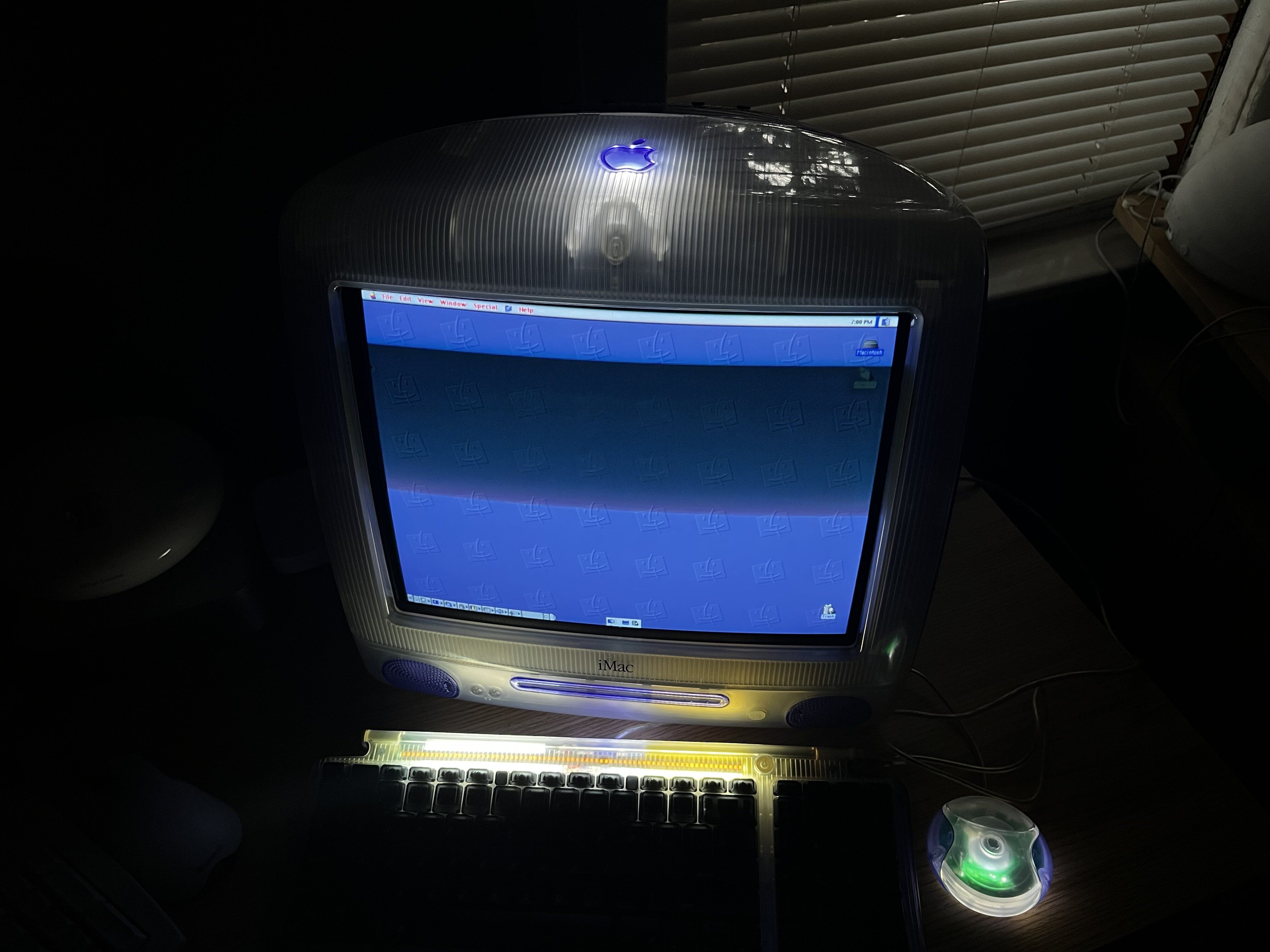 IMG_4571.jpeg