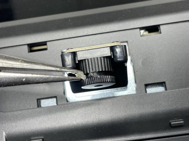 IMG_8225 Medium.jpeg