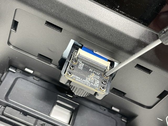 IMG_8229 Medium.jpeg