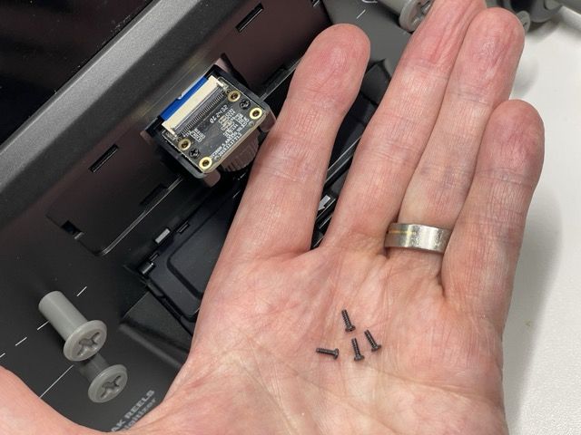 IMG_8230 Medium.jpeg