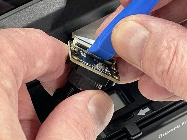 IMG_8238 Medium.jpeg