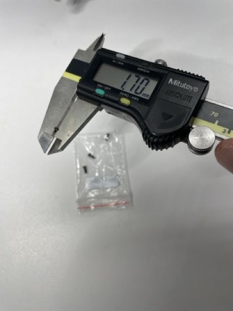 IMG_8242 Medium.jpeg