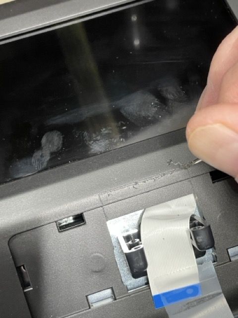 IMG_8251 Medium.jpeg