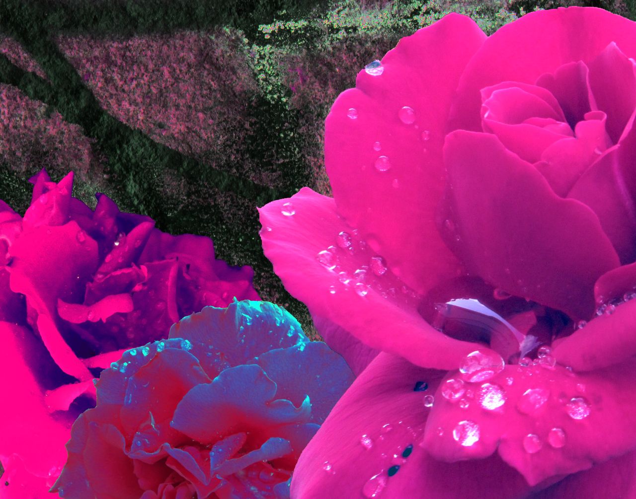 Neon Flowers.jpg