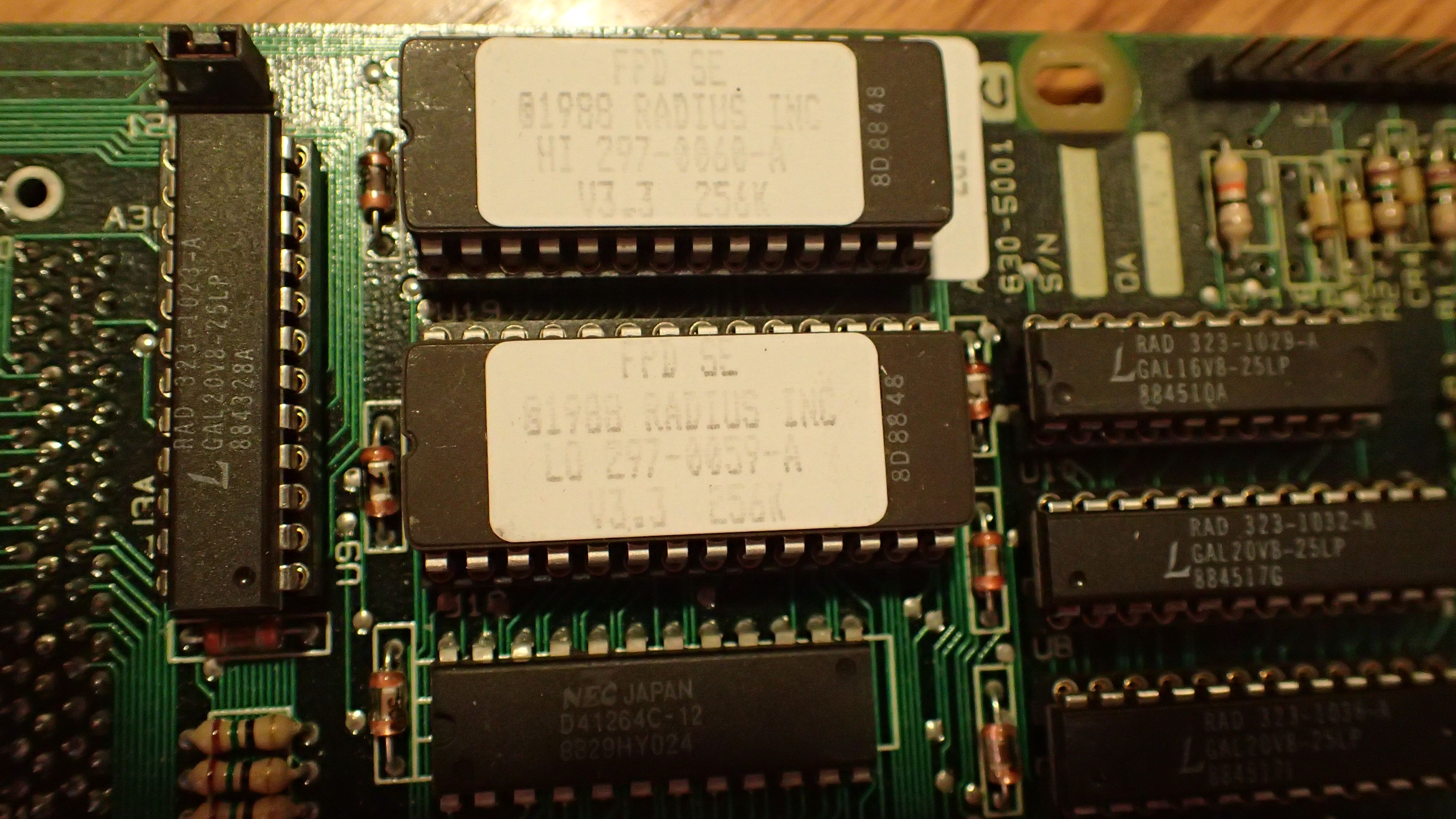 PB280012.JPG