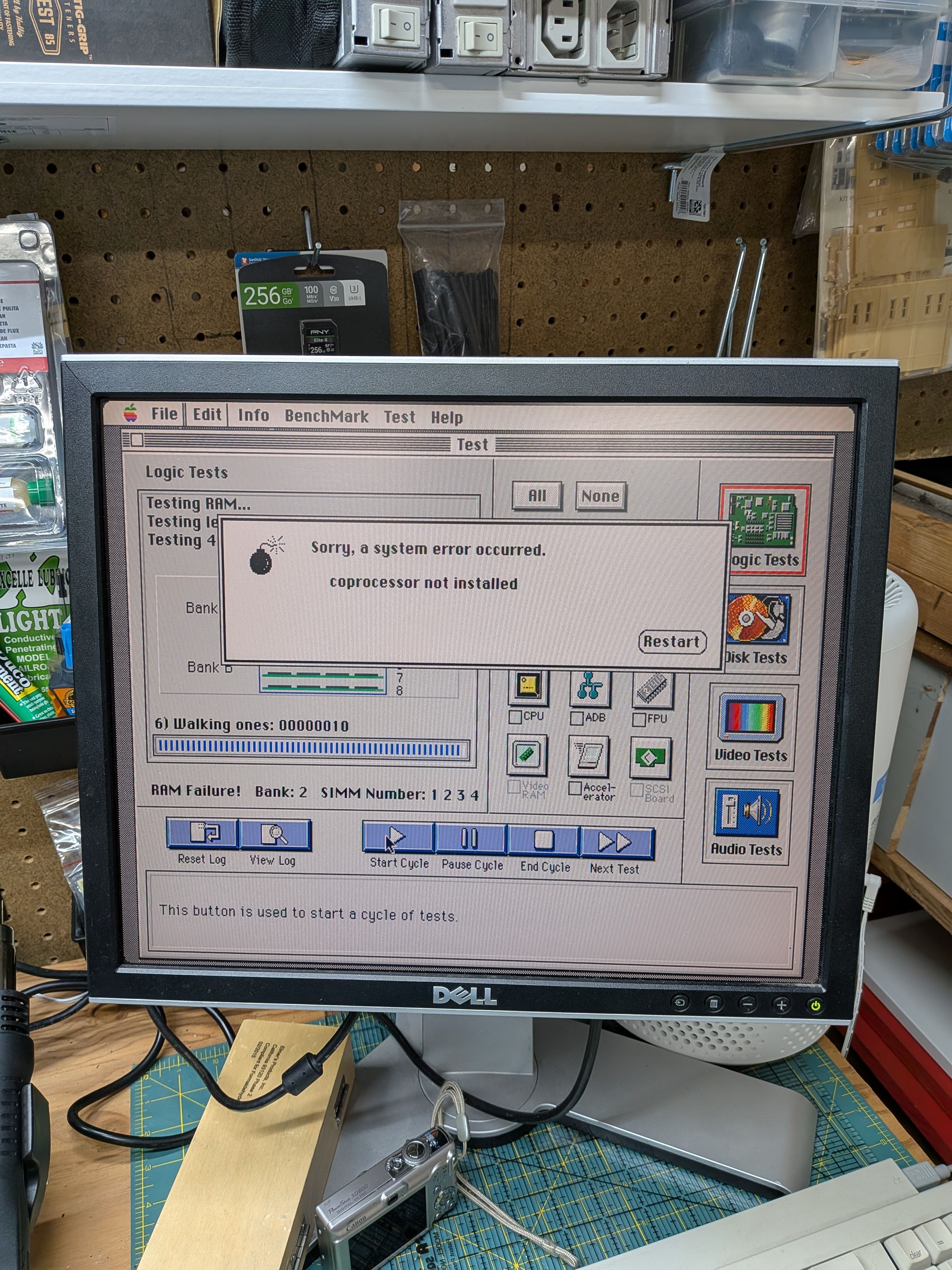 PXL_20250818_170620907.RAW-01.COVER.jpg