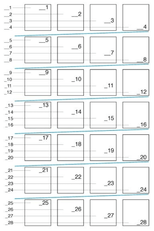 Radius Full Page Display-Scan Setup.png