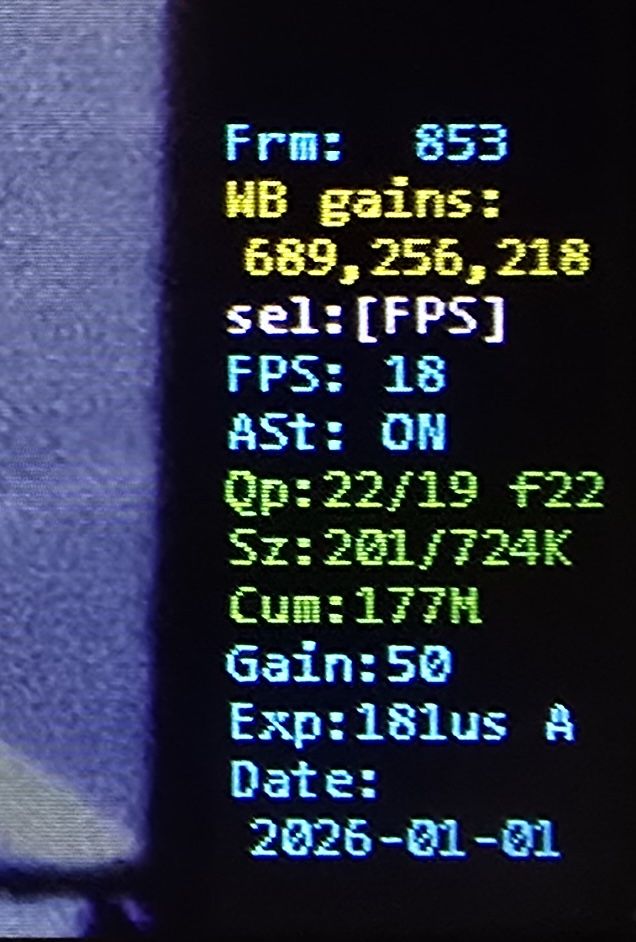 scan_hangs.jpg