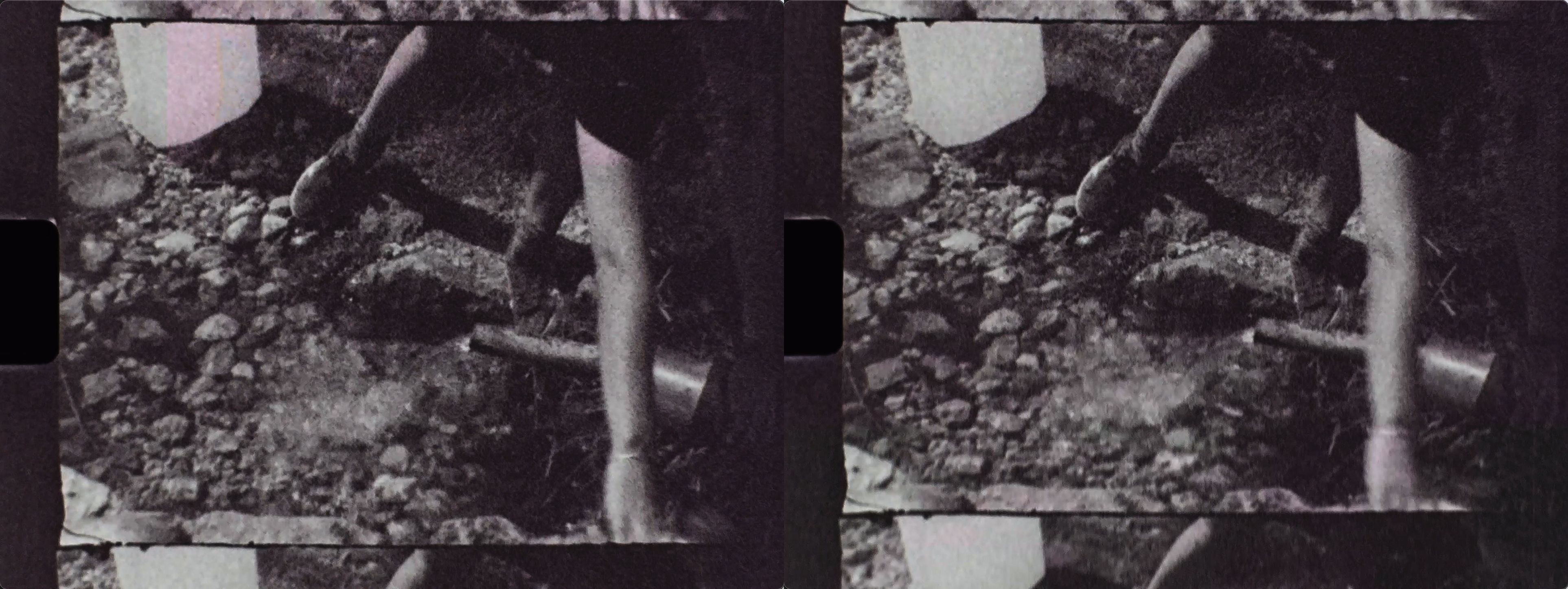Tri X Jitter 01 copy.jpg