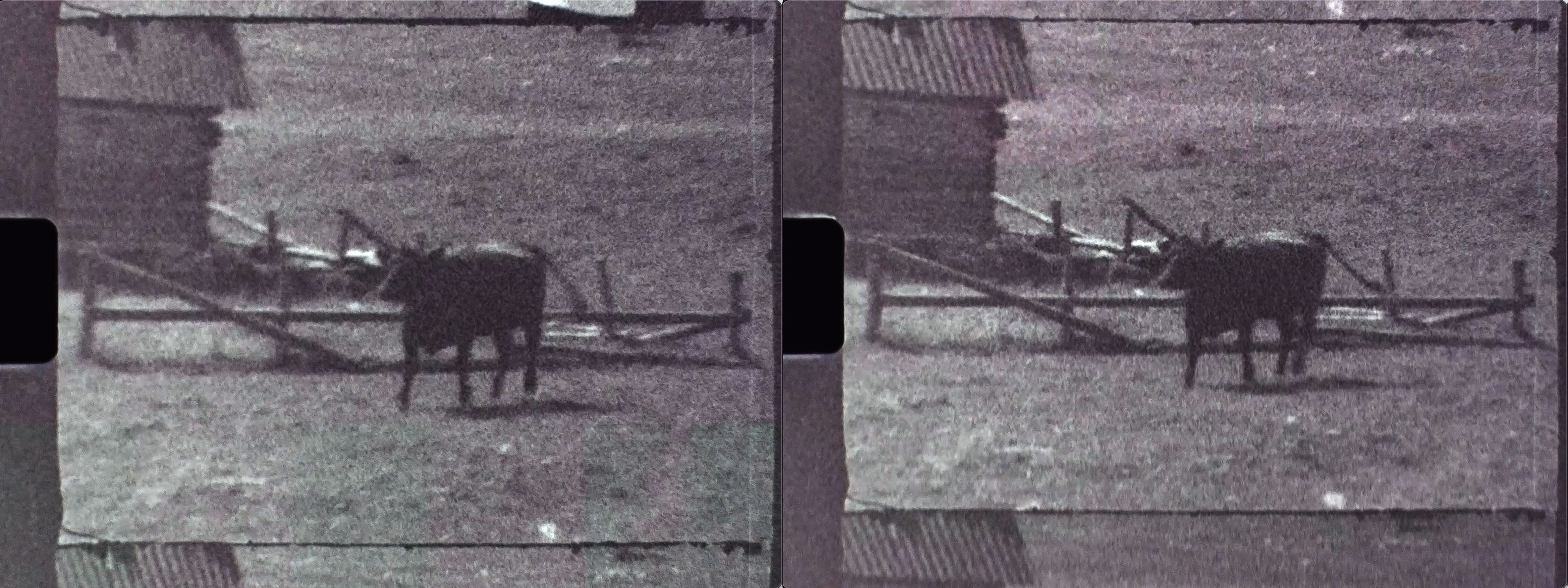 Tri X Jitter 03.jpg