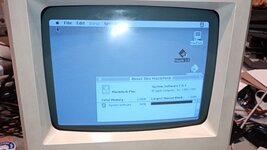 IMG_20241112_193153.jpg