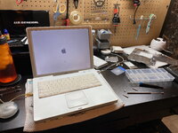 IMG_6943.jpeg