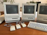 IMG_4282.jpeg