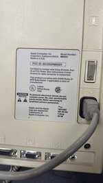 IMG_4507.jpeg