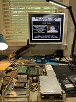 IMG_0810.jpeg