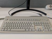 PXL_20250626_143405978.jpg