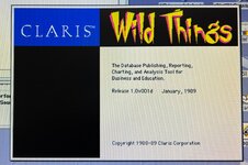 Wild Things.jpg