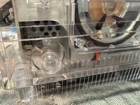 IMG_3896.jpeg