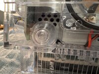 IMG_3897.jpeg