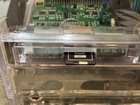 IMG_3900.jpeg