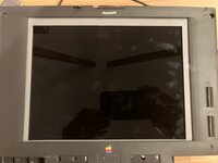 IMG_0867.jpeg IMG_0867.jpeg