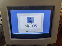 IMG_5924.jpeg
