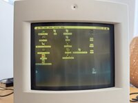 IMG_0002.jpeg
