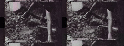 Tri X Jitter 01 copy.jpg