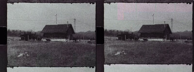 Tri X Jitter 02 copy.jpg