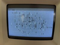 IMG_4729.jpeg