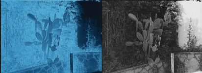 NEG POS 12.png