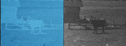 NEG POS 09.png