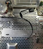 IMG_4579.jpeg