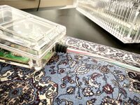 IMG_1114.jpeg