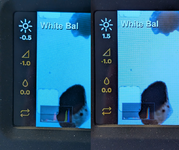 1759698270489.png