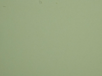 Third_Weiss_Exp2_Schae-15_Farb-1_00003.png