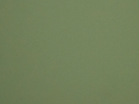 Fifth_Weiss_Exp2_Schae-15_Farb-1_00005.png