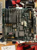 IMG_6564.jpeg