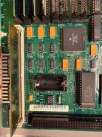 IMG_1719.jpeg