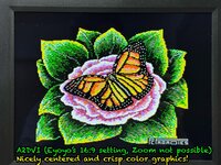 A2DVI_Centered_Eyoyo16x9setting2.jpg