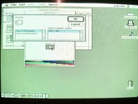 IMG_2517.JPEG IMG_2517.JPEG