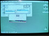 IMG_2519.JPEG IMG_2519.JPEG