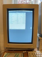Apple Portrait Display.JPG