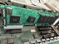 IMG_9847.jpeg IMG_9847.jpeg