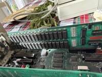 IMG_9848.jpeg IMG_9848.jpeg