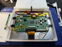 IMG_9946.jpeg IMG_9946.jpeg