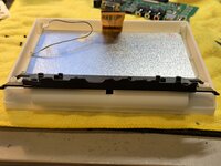 IMG_9929.jpeg IMG_9929.jpeg